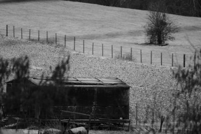 La cabane en hiver_4410593380_l.jpg